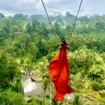 Bali Swing Tegalalang Tirta Empul Monkey Forest Tour