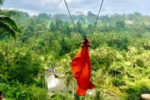 Bali Swing Tegalalang Tirta Empul Monkey Forest Tour