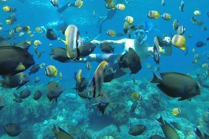 Snorkeling with Manta, Kelingking Beach, Broken Beach
